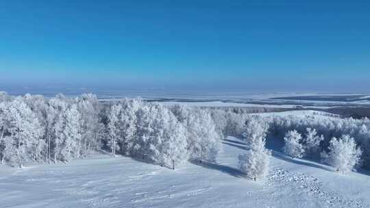 苍茫雪原上银装素裹白桦林