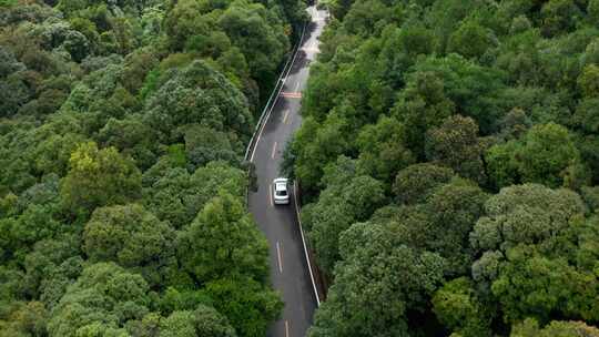 森林盘山公路