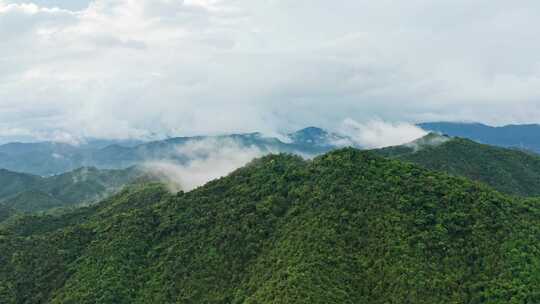 山峰上的云海