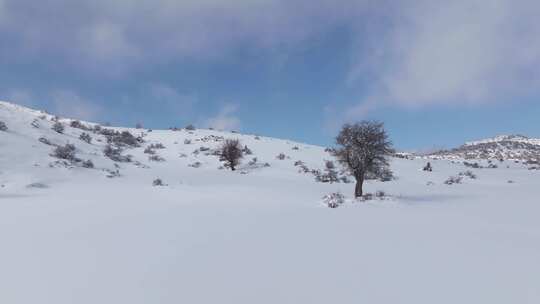 雪地摩托，雪，雪，骑