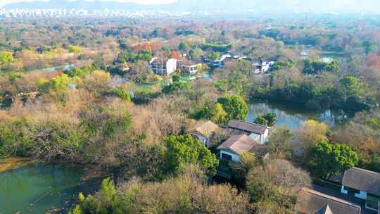 杭州西湖区西溪湿地风景视频素材