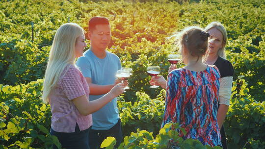 在葡萄园品尝葡萄酒的多民族朋友团体旅游
