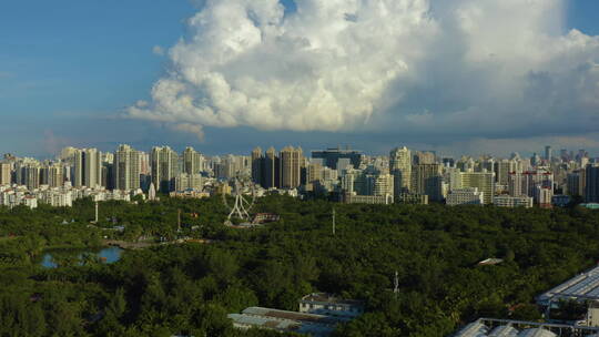 滨海城市椰树摩天轮城市旅游海口风光航拍视频素材模板下载