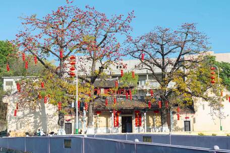 古建筑旁盛开的木棉花