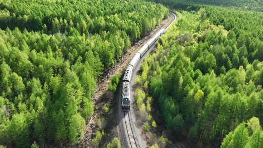 穿越大兴安岭森林的旅客列车