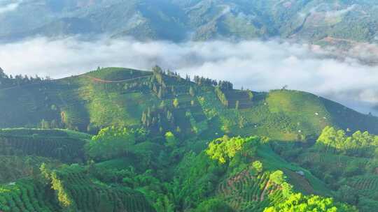 茶山云海日出航拍