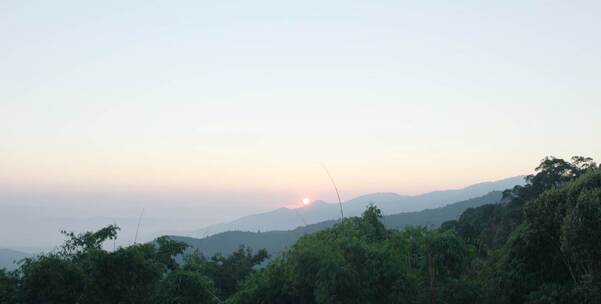 普洱茶山日出