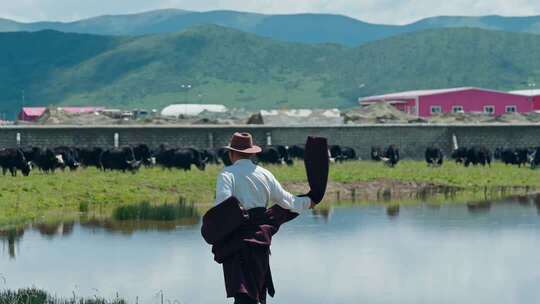草原牛羊畜牧养殖甘孜阿坝