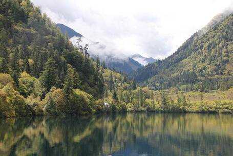 鞭炮声中祈福 祥和 平安 新春 祝福