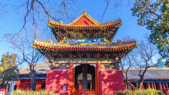 北京东岳庙古建筑冬季蓝天树影延时