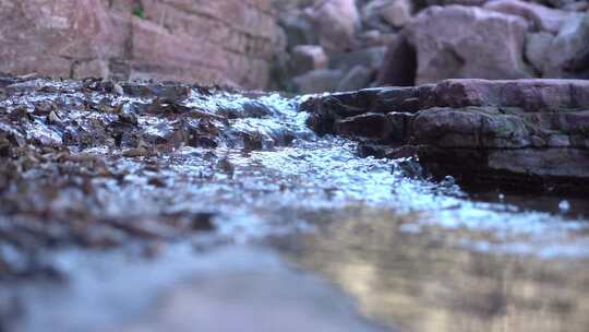 溪流 山间 溪流潺潺 河流 山野