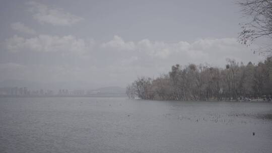 大理洱海丽江泸沽湖昆明滇池灰片