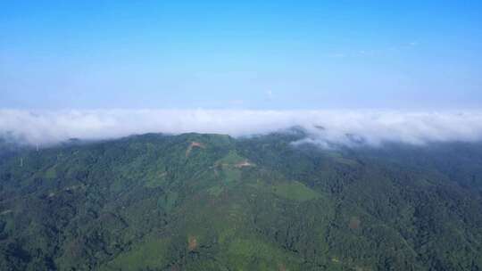 云海森林高山仙境