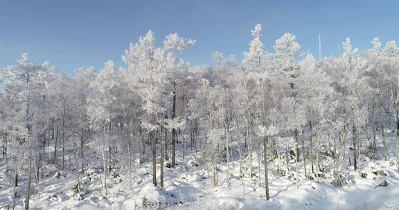 零下40度的低温航拍大兴安岭冰雪雾凇