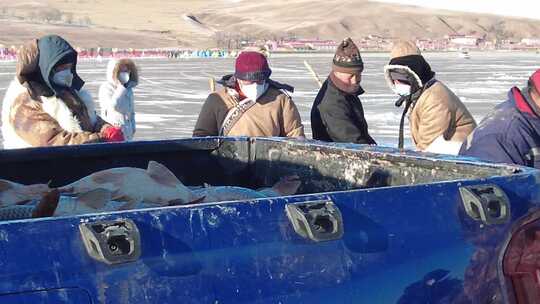 冰封湖面上的传统捕鱼视频素材模板下载