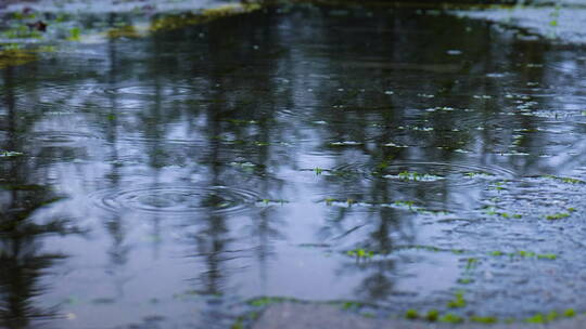 雨滴落在街道上