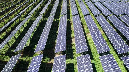 航拍湖州德清农田上的光伏太阳能电池板