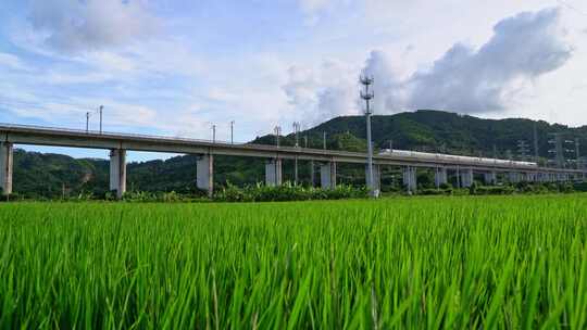 田野上高架桥高铁驶过风景