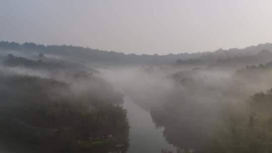 云雾竹林湖面清晨