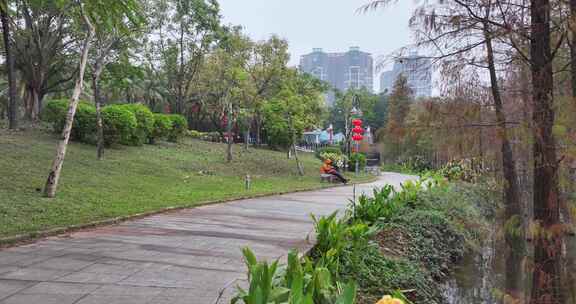 阳江市鸳鸯湖水杉林航拍