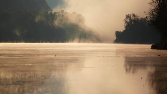 早晨雾气腾腾的金色湖面