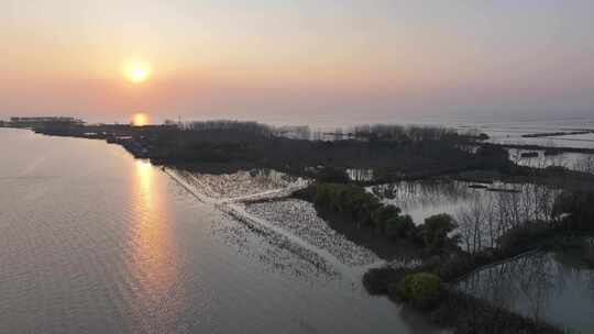 湖光渔家 生态湿地 塘口