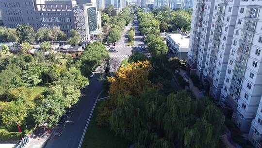 北京海淀区紫竹院街道航拍视频素材模板下载