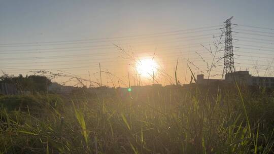 温暖的夕阳下,随风摇摆的小草,远处的高塔