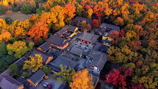 南京灵谷景区灵谷寺航拍