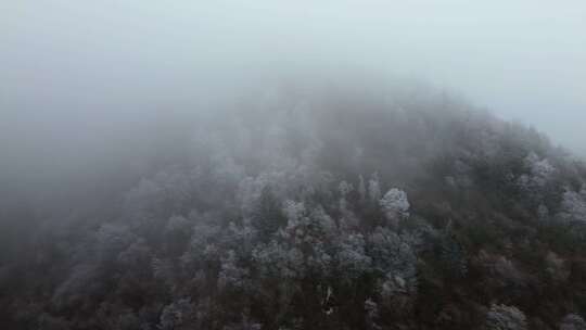 四川阿坝九寨沟县黄土梁隧道杜鹃山冬日