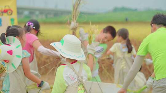 稻田地铁现代化建设户外教育幼儿园露营