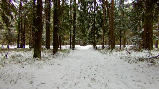 森林和被雪覆盖的道路镜头