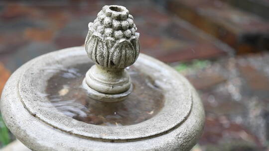 雨水滴落在庭院的石头上