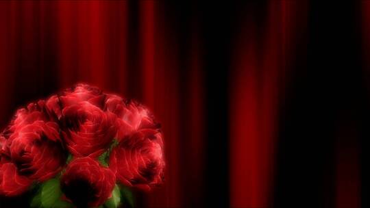 红色背景前旋转的玫瑰花