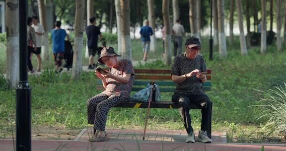 老人老年夫妇在公园长椅上看自己的手机