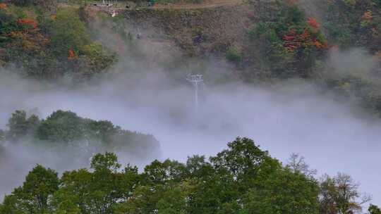 4K航拍重庆光雾山树林云海风景