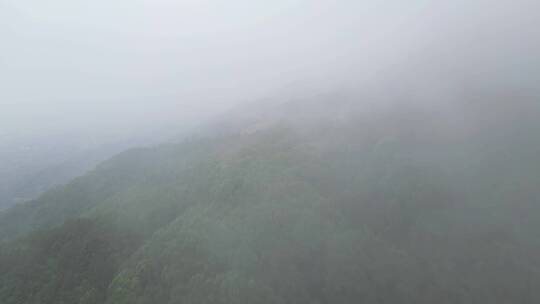 重庆山火后，北碚缙云山迎来降雨，云雾缭绕