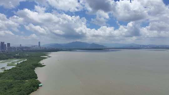 4K深圳福田区红树林