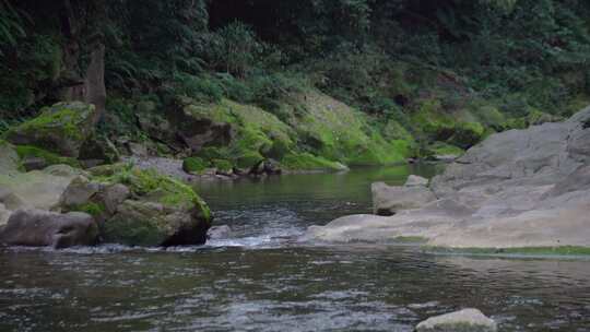 山间小溪 清澈的泉水 空镜头视频素材模板下载