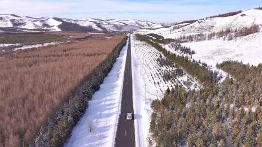 雪后山林间的公路景象