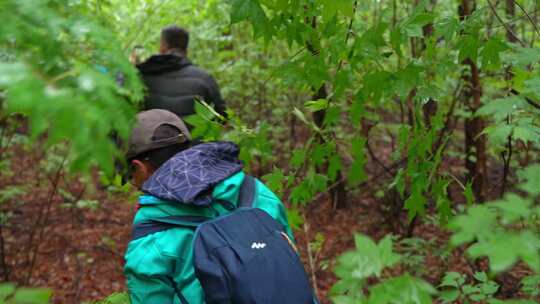 密林穿越徒步原始森林登山一路鸟鸣原声