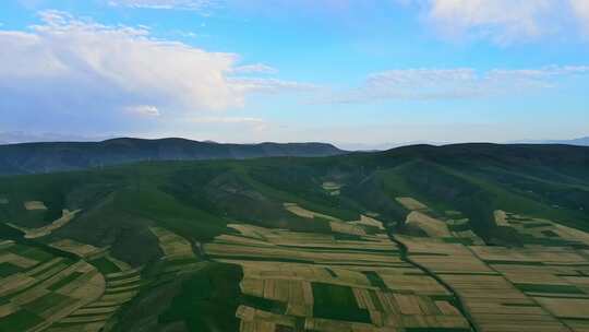 村庄丘陵田野大地丰收航拍大景