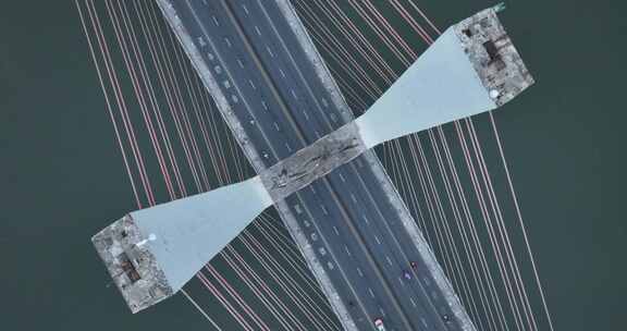 八一大桥城市风光俯瞰