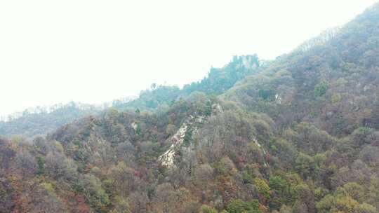 航拍秦岭山脉秋季风景云海视频素材模板下载