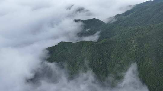 自然风景山区清晨云海翻腾直录4K航拍唯美