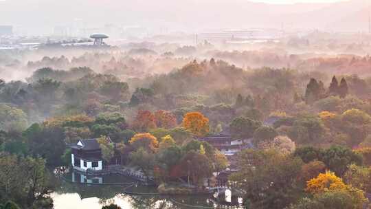 杭州秋天 西溪湿地 手摇船 湿地博物馆