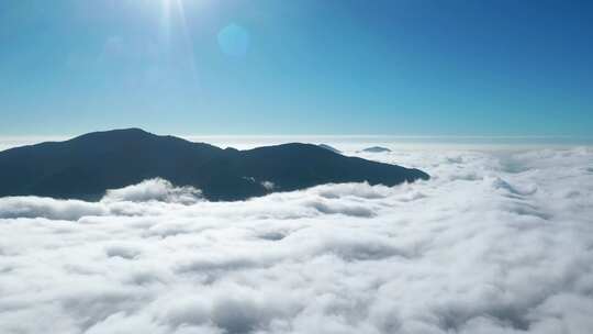 云海日出延时阳光山峰太阳森林大气震撼开场