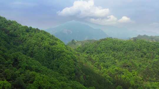 杭州西天目山风光视频素材模板下载