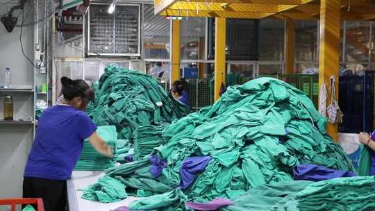 洗涤厂工人工作