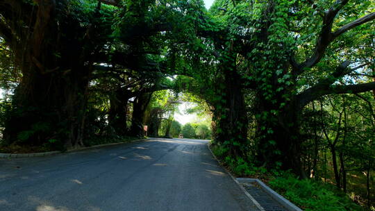 唯美山间郊外公路